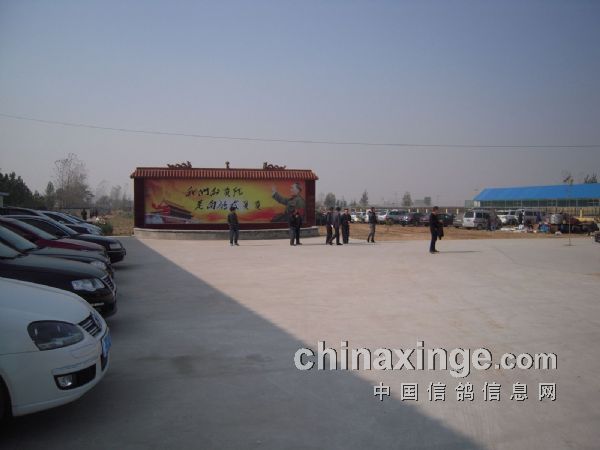 河南紅鼎公棚最新公告，自然美景探索之旅邀請(qǐng)啟動(dòng)