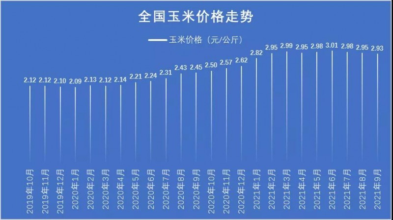 科技助力洞悉玉米未來市場趨勢，今年玉米價格行情分析預(yù)測