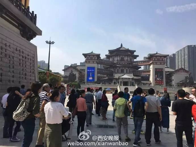 大唐西市最新動(dòng)態(tài)，自然美景探尋之旅