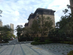 南辰濠郡最新消息全攻略，從初學者到進階用戶的獲取指南