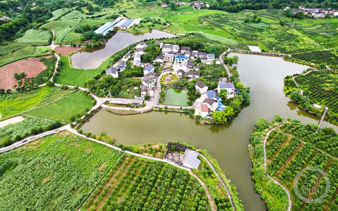 墊江白家最新動(dòng)態(tài)更新，最新消息匯總