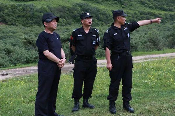 岷縣公安網(wǎng)新動(dòng)態(tài)，力量變革與成就之路的勵(lì)志篇章