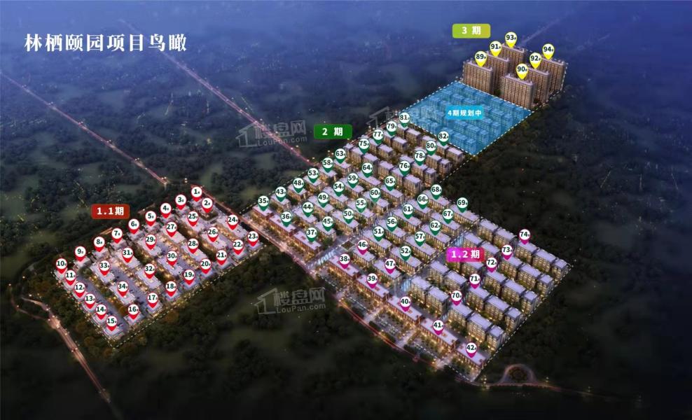 永清森林家園最新動態(tài)揭秘，森林中的日常趣事一網(wǎng)打盡！
