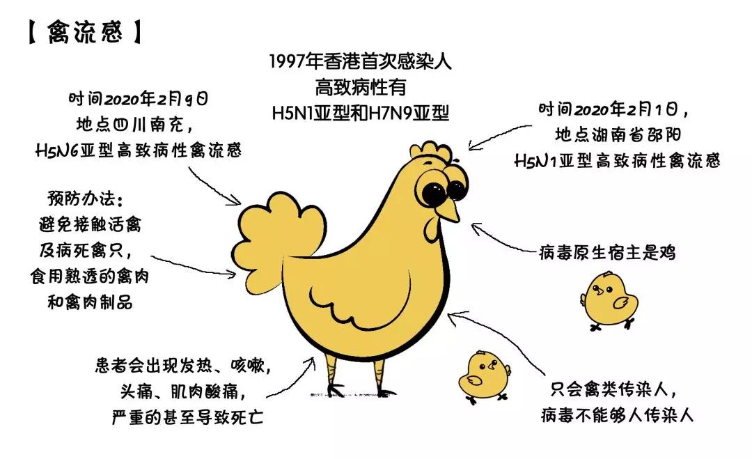 豬禽流感最新消息，2025年動態(tài)報告