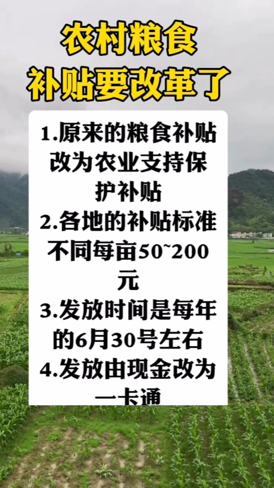 關于糧食直補的最新消息，展望2025年的政策動向